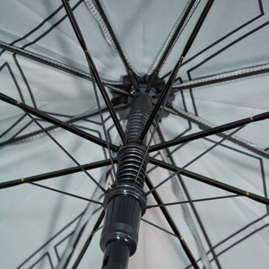 Umbrella | Huayra Roadster BC Collection
